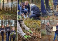 Las dla przyszłych pokoleń – CREATON Polska sadzi drzewa w okolicach Krakowa