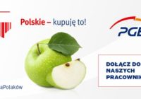 Kampania PGE „Polskie – kupuję to!”